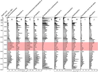 Synergistic warming- and catchment-driven mid-Holocene cyanobacterial development: Pigment evidence from shallow eutrophic Lake Mayinghai on the Chinese Loess Plateau
